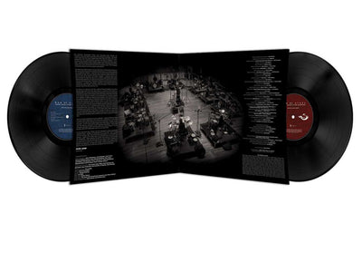 Double 12" Vinyl in Gatefold Jackets