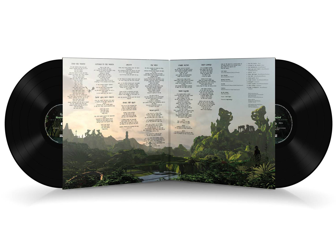 Double 12" Vinyl in Gatefold Jackets