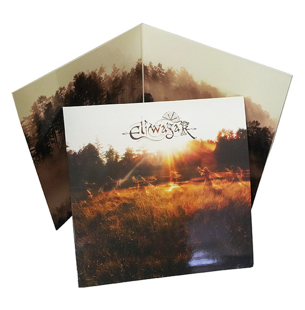 12" Vinyl Records in Gatefold Jackets