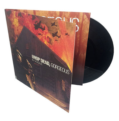 12" Vinyl Records in Gatefold Jackets
